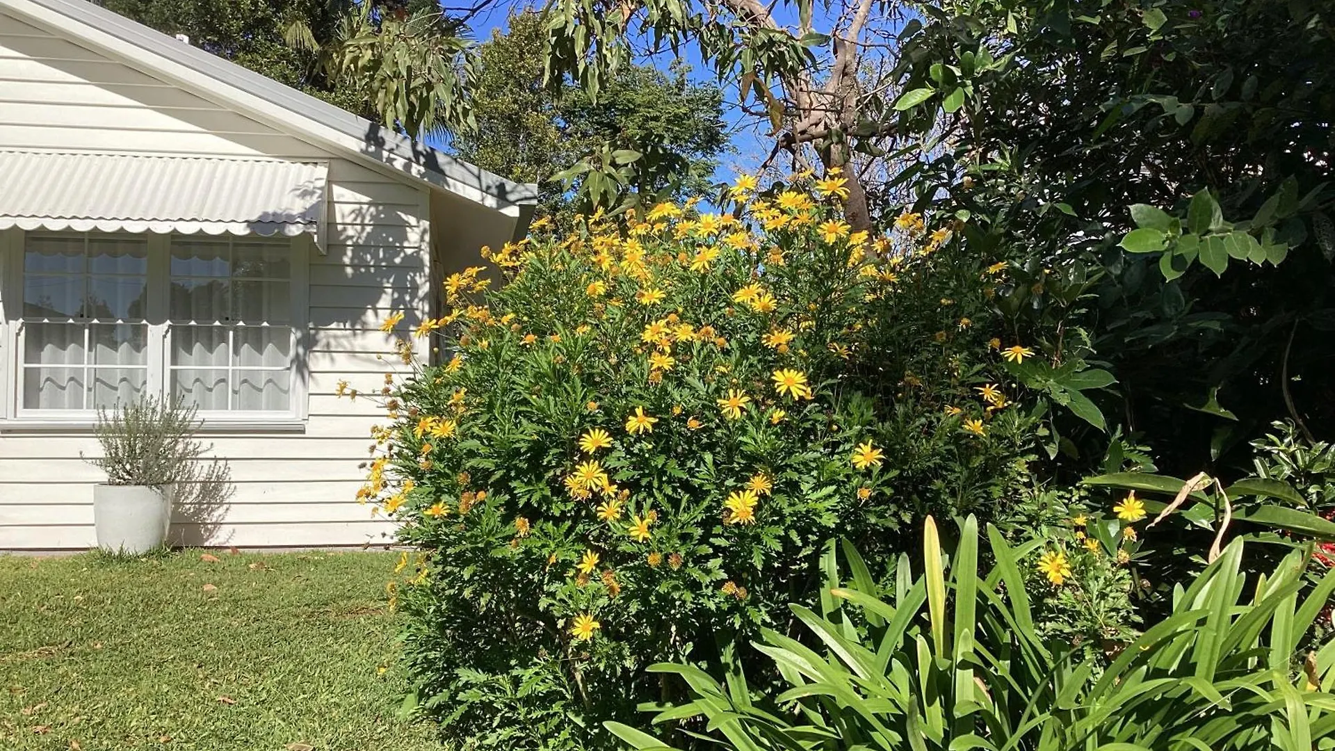 Villa Parker Cottage Maleny