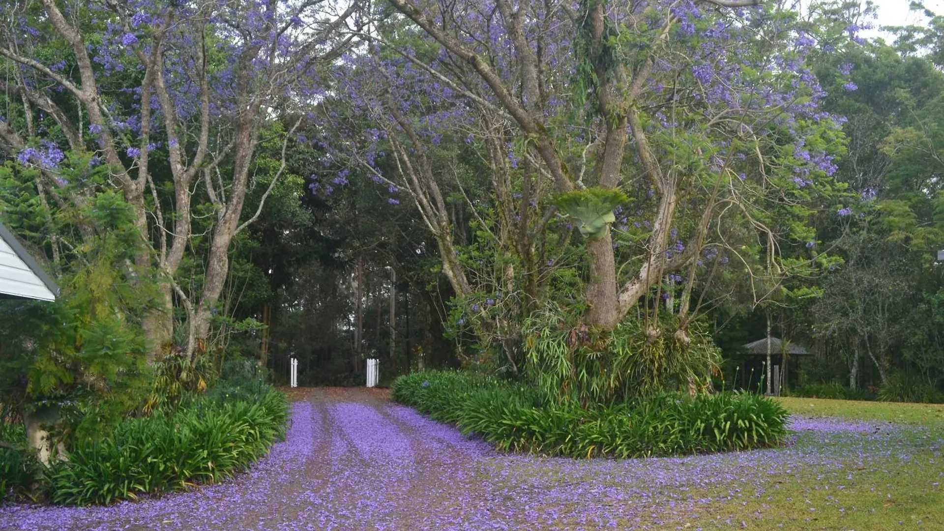 Parker Cottage Maleny Australia